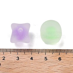 透明なアクリルビーズ  二層ビーズ  艶消し  ミックスカラー  15x18.5x15mm  穴：2.7mm  約223個/500g&nbsp;OACR-A032-06