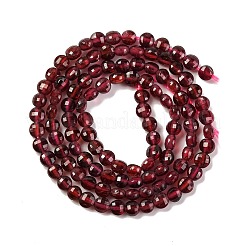 Natural Garnet Beads Strands&nbsp;X-G-F770-B02-01