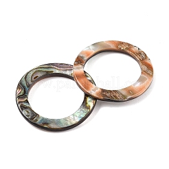 Natural Abalone Shell/Paua Shell Cabochons&nbsp;SHEL-T020-10B
