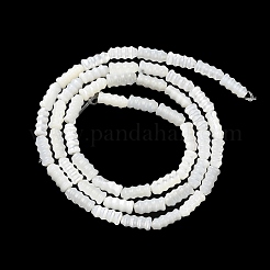 Natural Trochus Shell Beads Strands&nbsp;BSHE-Z003-17