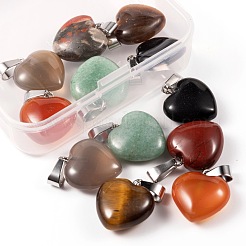 12Pcs 6 Style Natural Gemstone Pendants&nbsp;G-LS0002-10