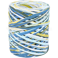 6色のラフィア紙紐  DIYのジュエリーには  カラフル  4~5.5mm  約87.49ヤード（80m）/かせ&nbsp;OCOR-WH0063-110C