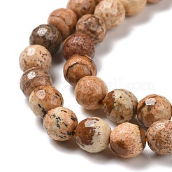 Natural Picture Jasper Beads Strands&nbsp;G-E571-28A