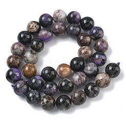 Natural Charoite Beads Strands&nbsp;G-C270-O03-10