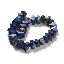 Natural Lapis Lazuli Beads Strands&nbsp;G-N327-05-13