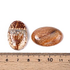 Dyed Natural Fire Agate Cabochons&nbsp;X-G-Q957-02B-20x30