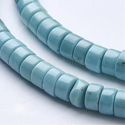Natural Magnesite Beads Strands&nbsp;G-P216-B01