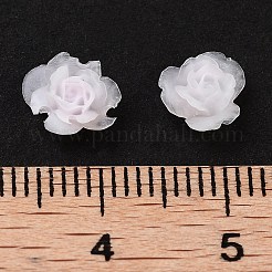 Luminous Resin Decoden Cabochons&nbsp;RESI-K036-58