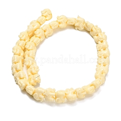Synthetic Coral Dyed Carved Bead&nbsp;BSHE-H114-04E