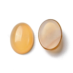 天然石赤瑪瑙カボション  オーバル  18x13x6.5mm&nbsp;G-A029-02-02