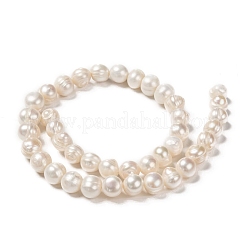天然養殖淡水パールビーズ連売り  ポテト  乳白色  10~11mm  穴：0.8mm  約37個/連  13.77インチ〜14.17インチ&nbsp;X-PEAR-L001-G-14