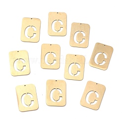 Ion Plating(IP) 304 Stainless Steel Pendants&nbsp;STAS-K216-49C-G