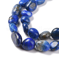 Natural Lapis Lazuli Beads Strands&nbsp;G-F575-01E