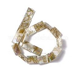 Drawbench Style Natural Freshwater Shell Beads Strands&nbsp;SHEL-F003-02