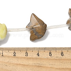 Natural Picture Jasper/Chinese Southern Jade/Green Aventurine/Mustard Stone Beads Strands&nbsp;G-B136-B01