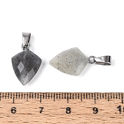 Natural Labradorite Pendants&nbsp;G-N349-18P-04