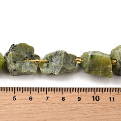 Raw Rough Natural Serpentine Beads Strands&nbsp;G-Z087-B14