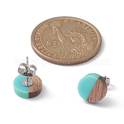 Resin & Wood Stud Earrings&nbsp;EJEW-JE05284