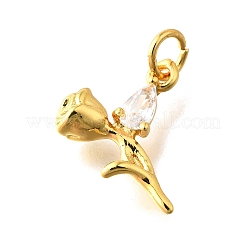Brass Micro Pave Cubic Zirconia Pendants&nbsp;KK-Z102-02G-02