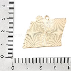 Sports Alloy Enamel Pendants&nbsp;ENAM-I074-01G-17