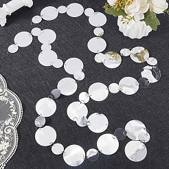 20Pcs PVC Sequin Round Beaded Curtain&nbsp;AJEW-CN0006-55B