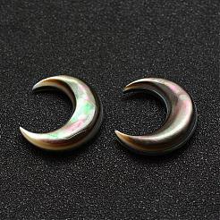Natural Abalone Shell/Paua Shell Cabochons&nbsp;SSHEL-G015-64