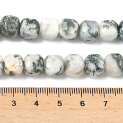 Natural Tree Agate Beads Strands&nbsp;G-C267-A18