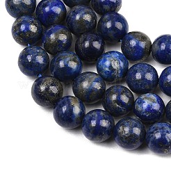 Natural Lapis Lazuli Beads Strands&nbsp;G-S333-10mm-013