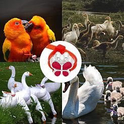 32個 8スタイルの啓発リボン＆蝶＆花＆爪プリント合金エナメルヨーロピアンビーズ  大穴ビーズ  プラスチックケーブルタイ100個付き。  ミックスカラー  10~11x6~10x7~11mm  穴：4~5mm  4個/スタイル&nbsp;DIY-CA0004-95