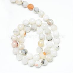 Natural Agate Bead Strands&nbsp;G-R346-12mm-26