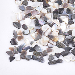 Black Lip Shell Beads&nbsp;MRMJ-S034-07