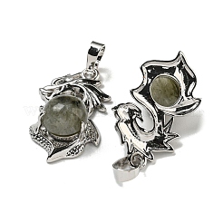 Natural Labradorite Pendants&nbsp;G-G111-01P-02