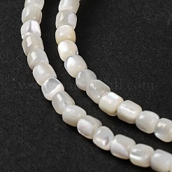 Natural Trochus Shell Beads Strands&nbsp;BSHE-S304-09B