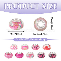 30Pcs Printed Transparent Resin European Beads&nbsp;RESI-TADJ0001-03H