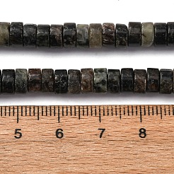 Natural Biotite Beads Strands&nbsp;G-L624-I12-3x6mm