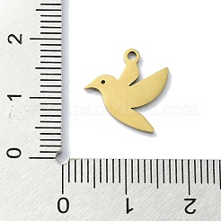 304 Stainless Steel Charms&nbsp;STAS-C097-27G