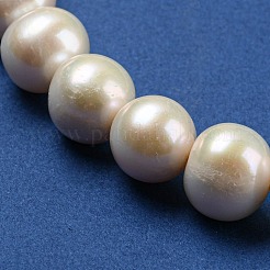 天然養殖淡水パールビーズ連売り  ラウンド  フローラルホワイト  12~13mm  穴：0.8mm  約35個/連  15.9インチ&nbsp;PEAR-K003-12A-01