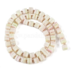 Handmade Nepalese Lampwork Beads Strands&nbsp;LAMP-M019-01H