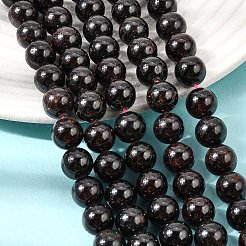 Natural Garnet Gemstone Bead Strands&nbsp;G-R263-10mm