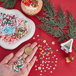 120g 12種類のクリスマステーマDIYエポキシ樹脂材料充填材  ポリマー粘土やプラスチックビーズを含む  混合図形  ミックスカラー  4.5~11.5x1.2~10x0.3~10mm  10g /スタイル&nbsp;DIY-SC0027-29