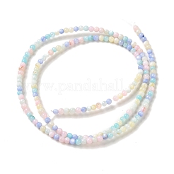Ice Cream Color Dyed Natural Freshwater Shell Beads Strands&nbsp;X1-SHEL-G018-01B