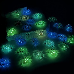 Luminous Transparent Acrylic Pendants&nbsp;TACR-F006-02