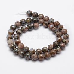 Natural Glaucophane Beads Strands&nbsp;G-K209-04A-8mm