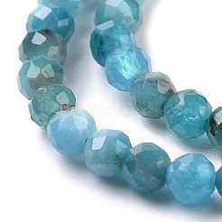 Natural Apatite Beads Strands&nbsp;X-G-E411-36-2mm-01