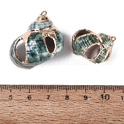 Electroplated Golden Brass Edged Natural Spiral Shell Pendants&nbsp;SSHEL-Q101-02