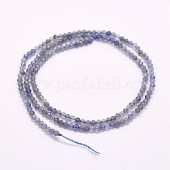 Natural Cordierite/Iolite/Dichroite Beads Strands&nbsp;G-F509-15-3mm