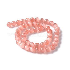 Natural Selenite Beads Strands&nbsp;G-C142-01C-12