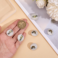 6Pcs 2 Colors Porcelain Buttons&nbsp;BUTT-OC0001-60