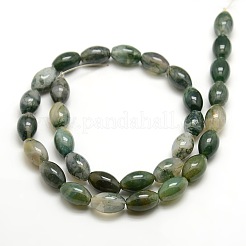 Natural Oval Moss Agate Beads Strands&nbsp;G-P063-01