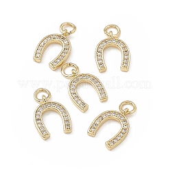 Brass Micro Pave Cubic Zirconia Charms&nbsp;LS-KK-E068-VB278